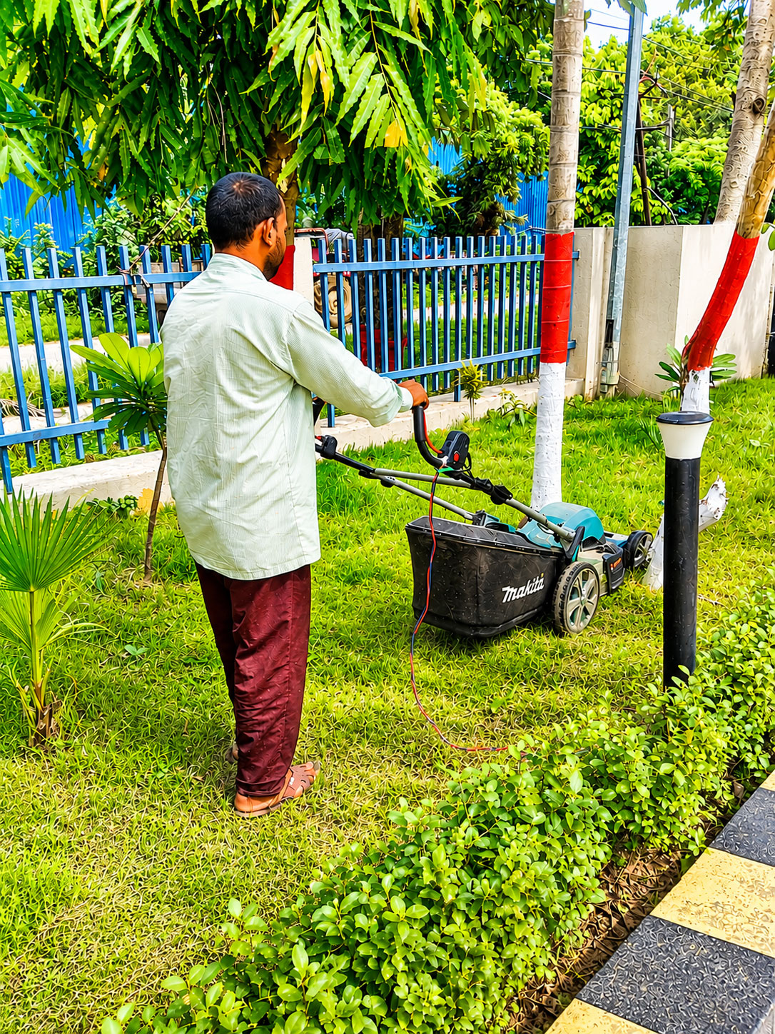 Grass Cutting