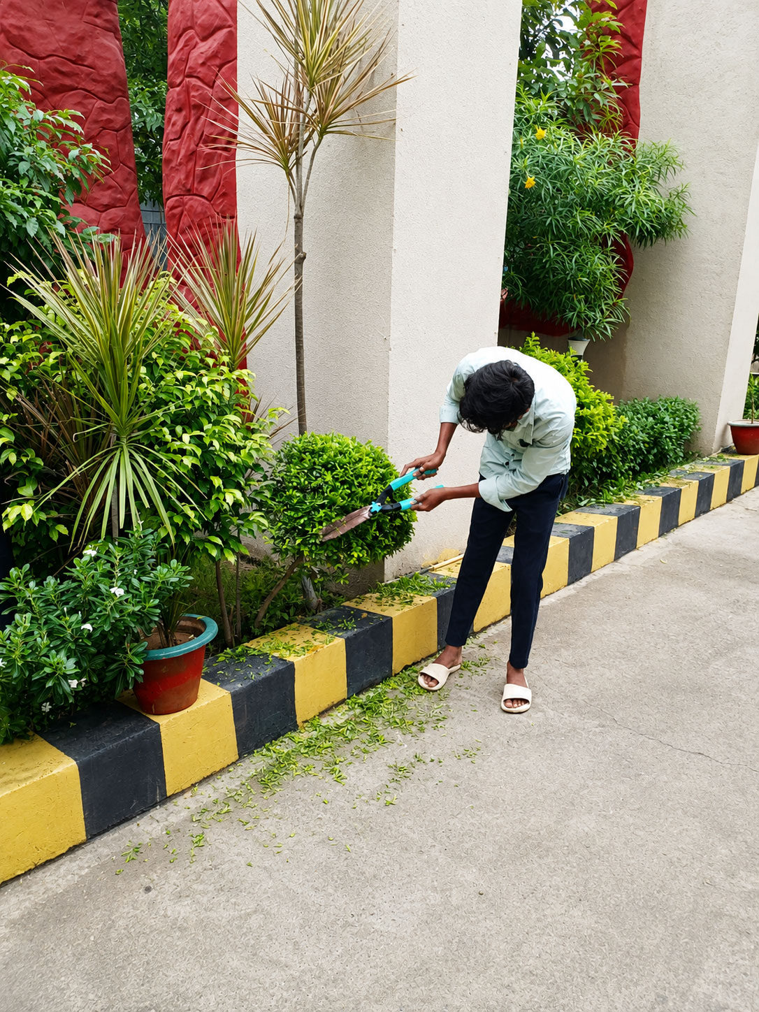 Cleaning Services