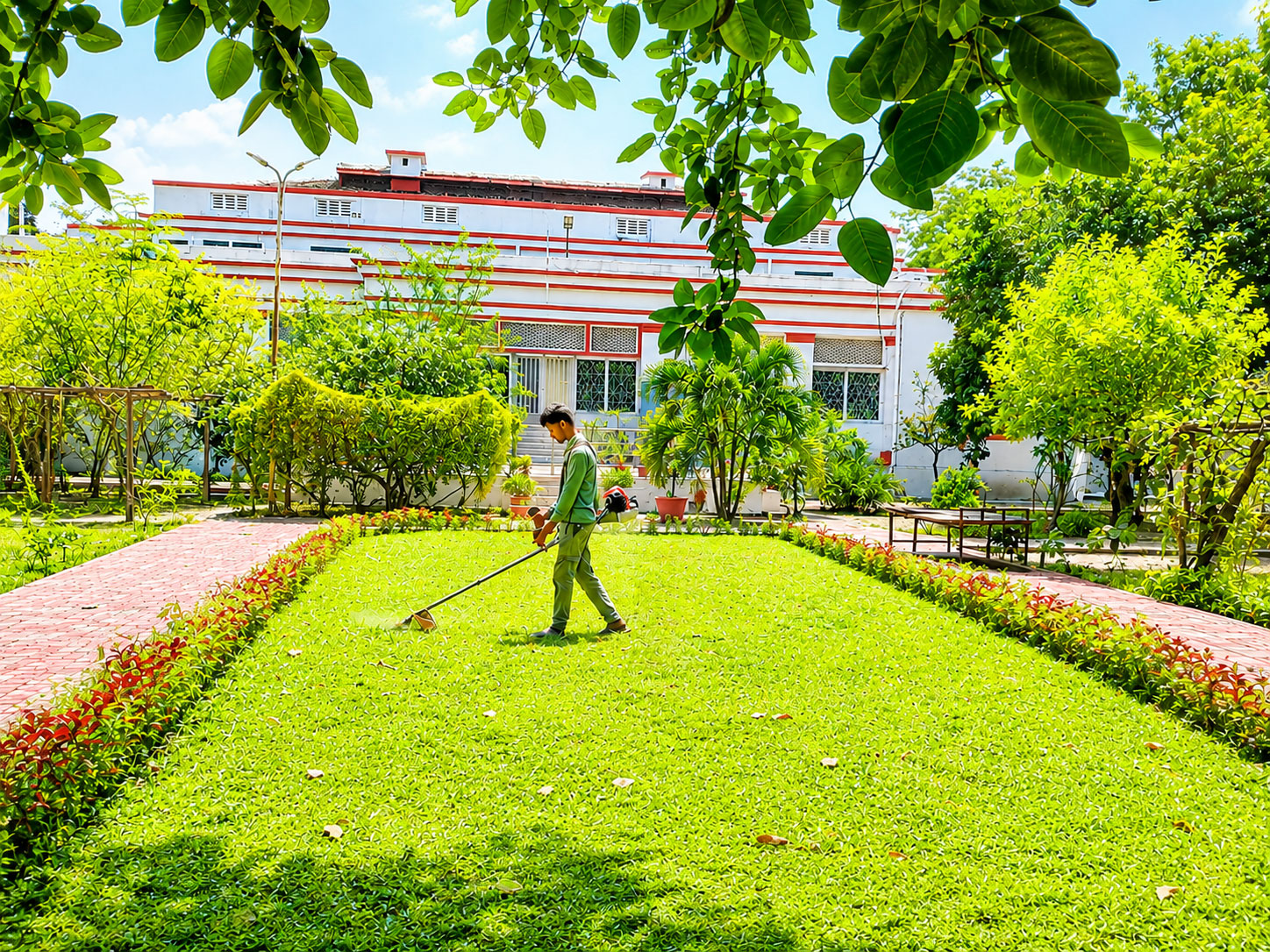 Grass Cutting
