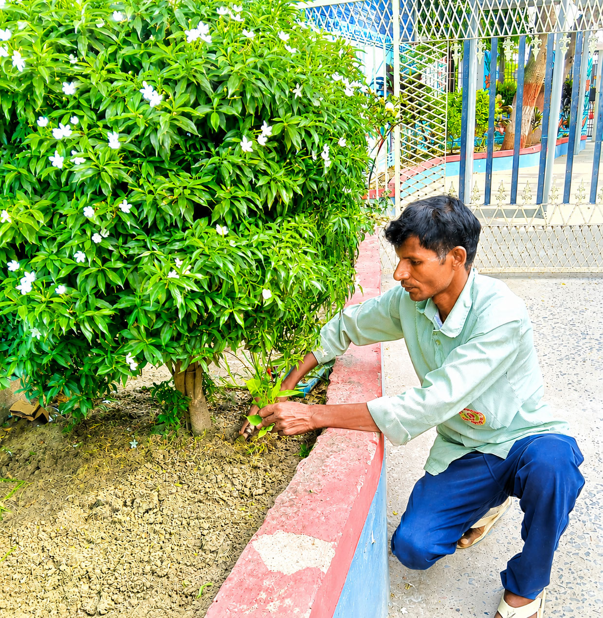 Horticulture Services