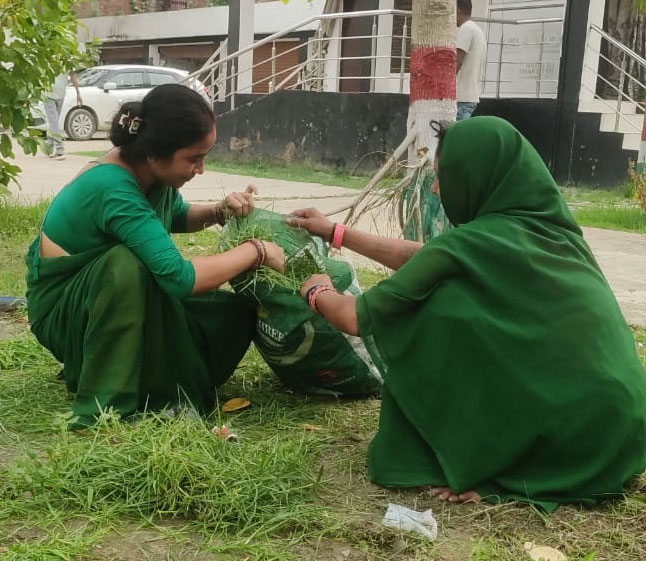 Gardening Work