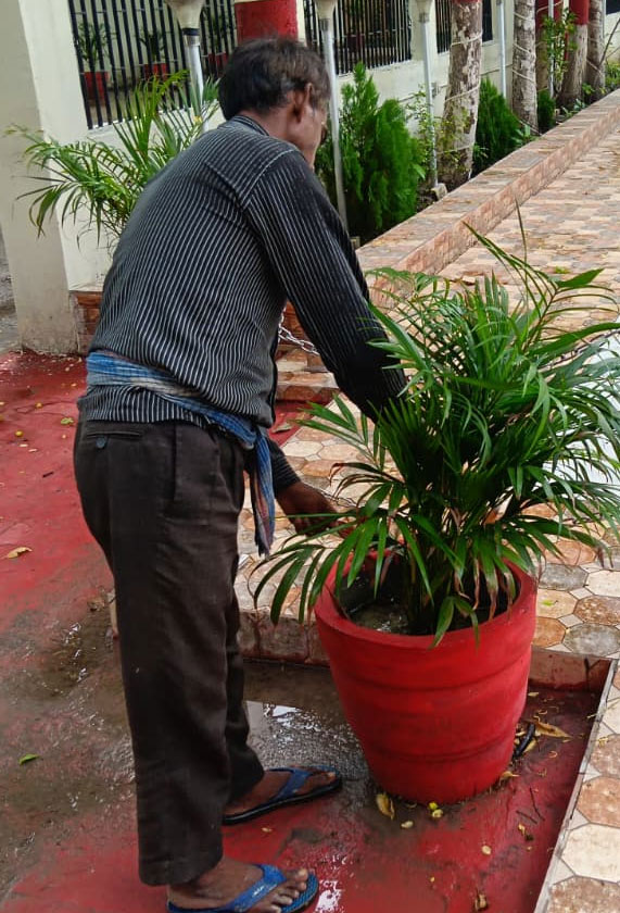 Horticulture Services