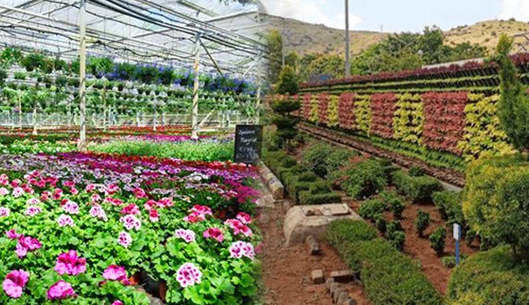 Horticulture Services
